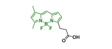 BDP FL acid，165599-63-3(图1)