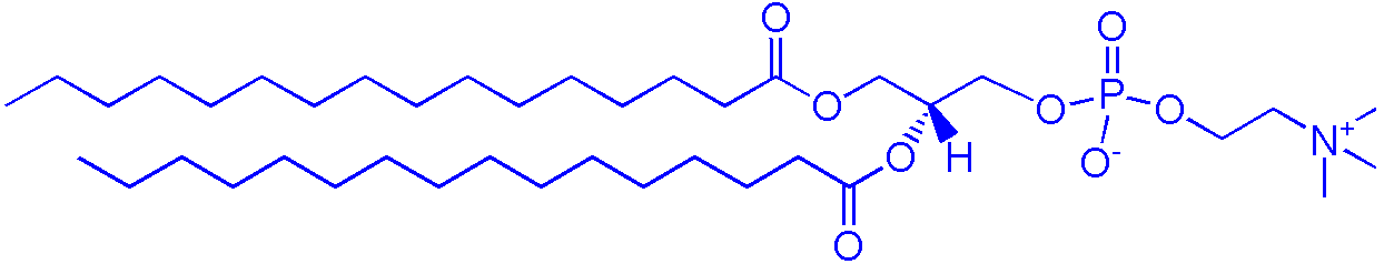 63-89-8，DPPC（1,2-二棕榈酰-sn-甘油-3-磷酰胆碱）(图1)