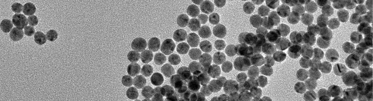 葡萄糖修饰金纳米粒子（10nm）(图1)